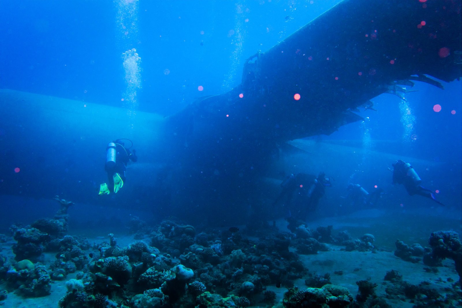 Scuba divers swimming beneath the high-mounted wing of a submerged four-engine transport aircraft, coral on the sand below.