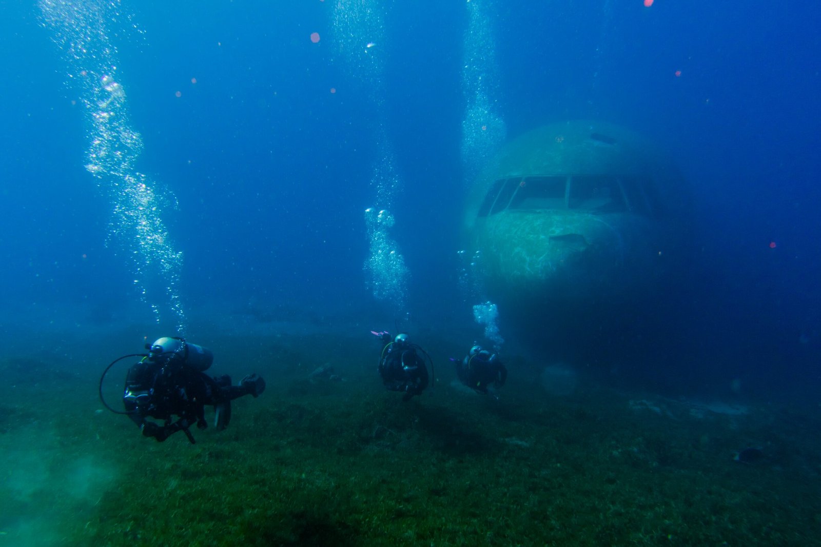 The nose of a submerged widebody airliner, its cockpit windows still glazed, with three divers on the seagrass in front of it.